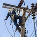 Atendendo demanda de mercado, o curso tem o objetivo de qualificar pessoas para atuarem no setor produtivo de Rio Branco. Foto: Reprodução