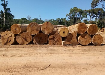 Foto: Arquivo/Casa Civil