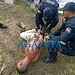 Suspeito é capturado após tentativa de assalto a farmácia no Conjunto Bela Vista
