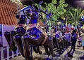 Inauguração da decoração natalina leva multidão à Praça da Revolução; veja fotos