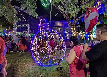 Foto: Juan VIcent Diaz