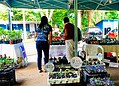 Feira Natalina da economia popular e solidária é aberta oficialmente nesta sexta e vai até o dia 24 no Horto Florestal