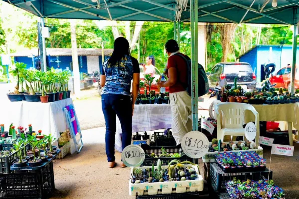 Feira Natalina da economia popular e solidária é aberta oficialmente nesta sexta e vai até o dia 24 no Horto Florestal