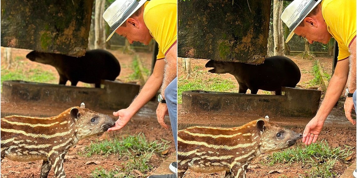 Foto: Reprodução/Instagram