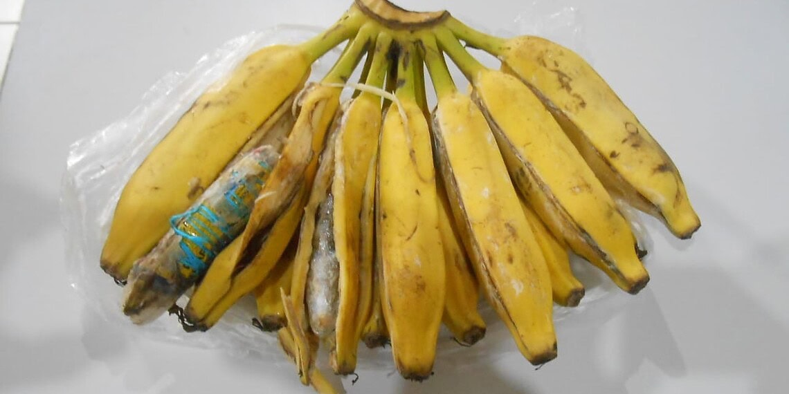 Durante revista, Polícia Penal apreende drogas dentro de bananas no Complexo Penitenciário de Rio Branco