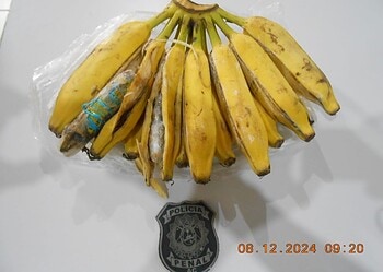 Durante revista, Polícia Penal apreende drogas dentro de bananas no Complexo Penitenciário de Rio Branco
