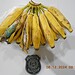 Durante revista, Polícia Penal apreende drogas dentro de bananas no Complexo Penitenciário de Rio Branco