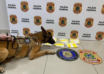 Foto: Assessoria