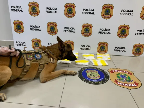 Mulher é presa em Fortaleza com quase 2 quilos de cocaína em operação entre a Polícia Civil do Acre e Polícia Federal