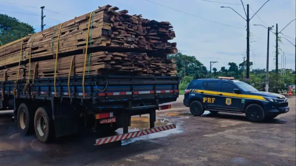 PRF apreende carga irregular de madeira nativa em Senador Guiomard