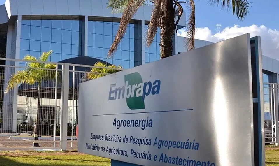 Concurso Embrapa: Resultados são divulgados nesta terça-feira, 22