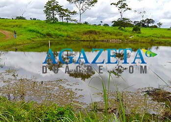 Corpo de colono desaparecido é encontrado em açude na zona rural de Rio Branco