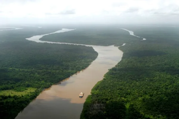 Dinossauros mais antigos do planeta podem estar perdidos na Amazônia