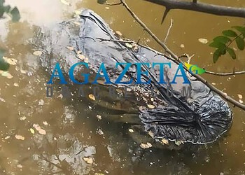 Corpo é encontrado boiando nas água do Rio Iaco, em Sena Madureira
