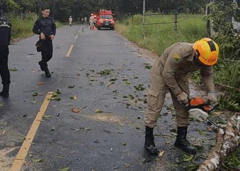 Foto: Corpo de Bombeiros de Cruzeiro do Sul