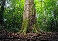 Em viagem pelo Brasil, fotógrafo e administrador capixaba conhece as belezas acreanas