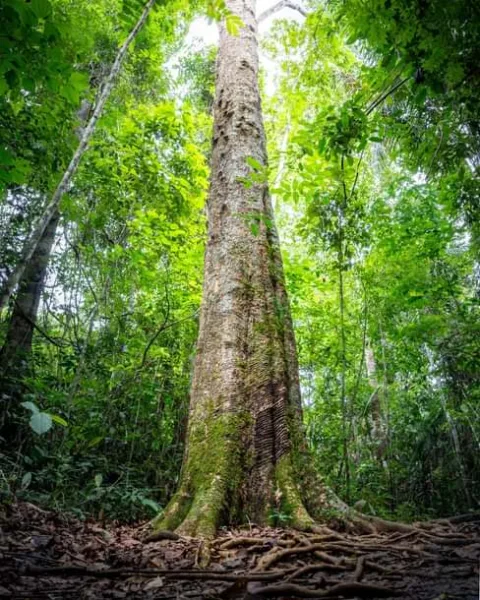 Em viagem pelo Brasil, fotógrafo e administrador capixaba conhece as belezas acreanas