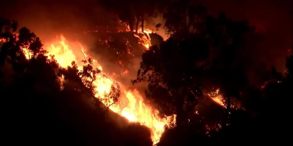 Incêndio florestal atinge Califórnia, estado declara emergência. Foto: Reprodução