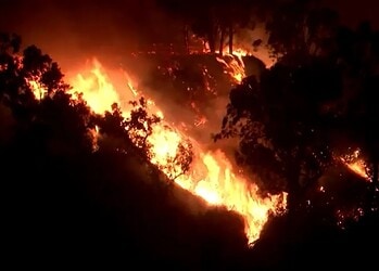Incêndio florestal atinge Califórnia, estado declara emergência. Foto: Reprodução