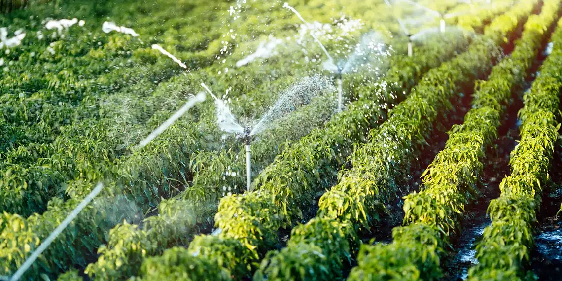 Equipamentos para sistemas de irrigação ganham isenção de ICMS no Acre