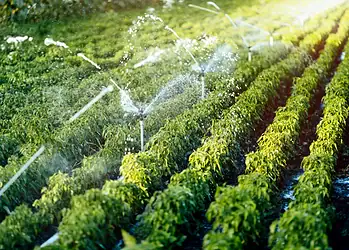Equipamentos para sistemas de irrigação ganham isenção de ICMS no Acre