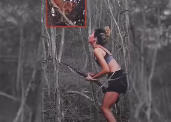 Mulher matou animal e compartilhou caçada nas redes — Foto: Reprodução