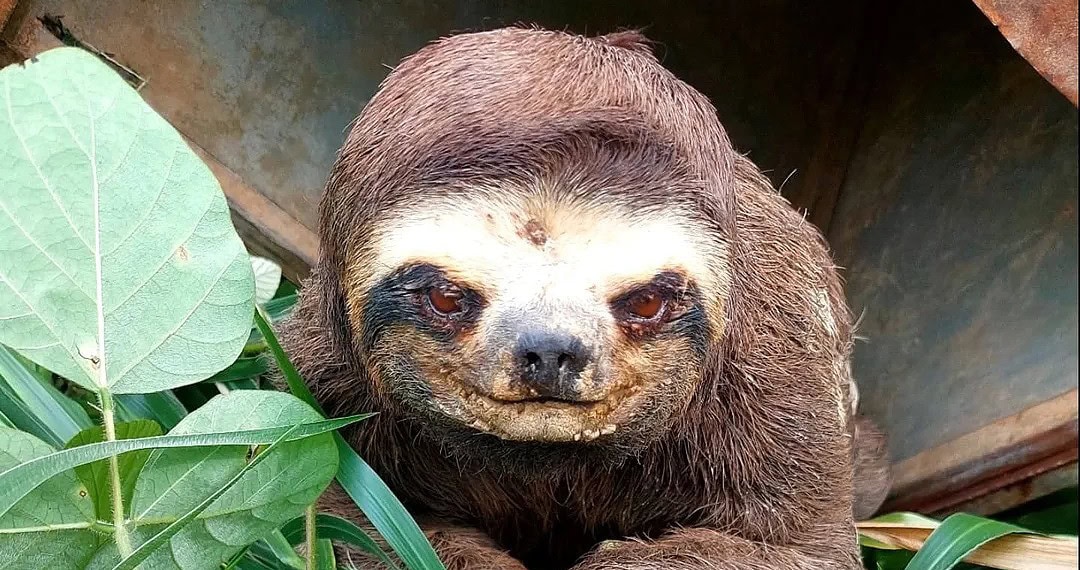 Foto: Reprodução Instagram