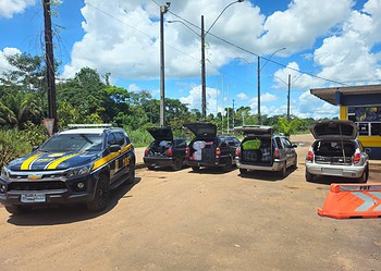 PRF apreende mercadorias irregulares durante fiscalização na BR-364, em Rio Branco 12 Foto: PRF/AC