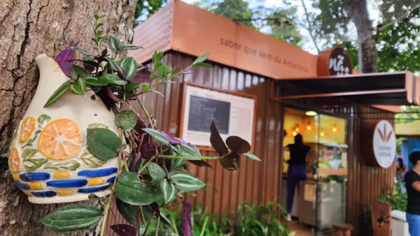 Saudade e sabor: sorveteria em Rio Branco revive memórias afetivas com sorvetes naturais; VÍDEO