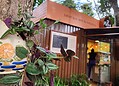 Saudade e sabor: sorveteria em Rio Branco revive memórias afetivas com sorvetes naturais; VÍDEO