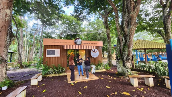 Saudade e sabor: sorveteria em Rio Branco revive memórias afetivas com sorvetes naturais; VÍDEO