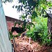Deslizamentos de terra expulsam famílias de casas em Cruzeiro do Sul
