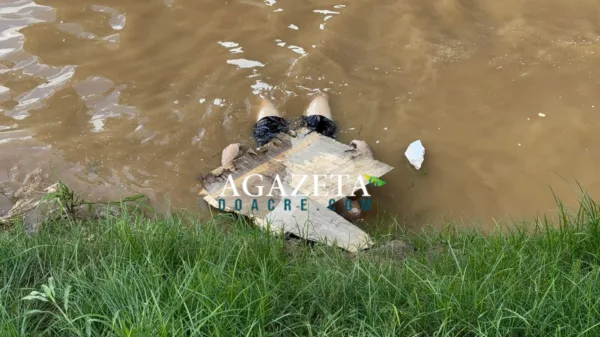 Corpo de homem é encontrado boiando embaixo da Ponte Metálica, na capital; assista