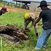 Reprodução: Instagram