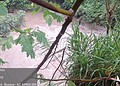 Defesa Civil monitora pontos críticos de Rio Branco após chuva de 50 mm em 24 horas