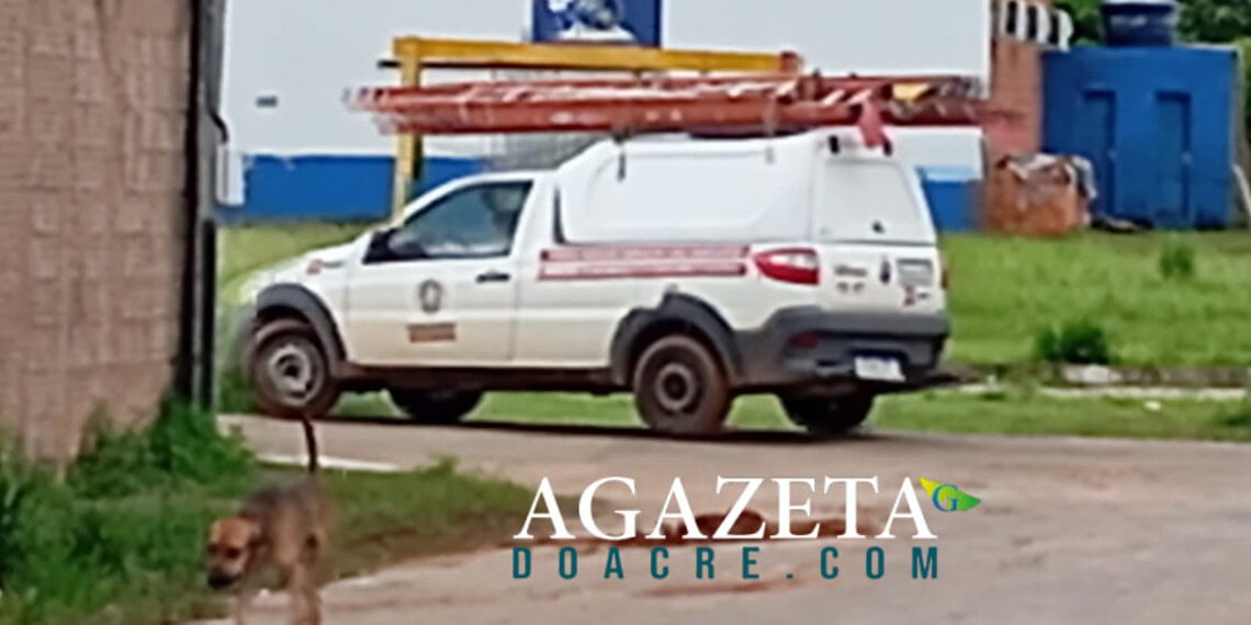 Motorista de empresa terceirizada atropela e mata filhote de cachorro em Rio Branco