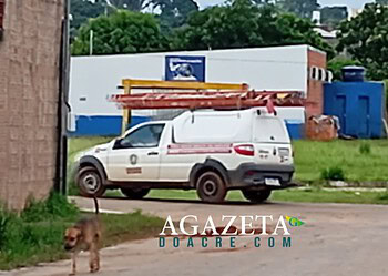 Motorista de empresa terceirizada atropela e mata filhote de cachorro em Rio Branco