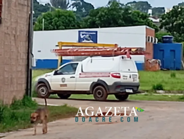 Motorista de empresa terceirizada atropela e mata filhote de cachorro em Rio Branco