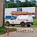 Motorista de empresa terceirizada atropela e mata filhote de cachorro em Rio Branco