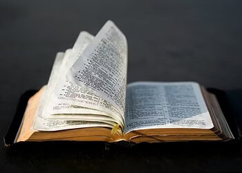 Pesquisadora analisou os possíveis autores que participaram da elaboração da Biblía — Foto: Unsplash/ Aaron Burden