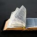 Pesquisadora analisou os possíveis autores que participaram da elaboração da Biblía — Foto: Unsplash/ Aaron Burden