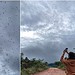 Vídeo que mostra "chuva de aranhas" em São Tomé das Letras viralizou nas redes sociais — Foto: Arquivo pessoal