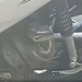 Sucuri de 2m enrolada em moto é capturada em frente a escola. Vídeo