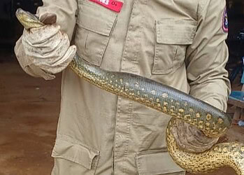 Foto: Reprodução/Instagram