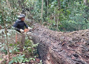 Operações reforçam fiscalização do ICMBio na Reserva Chico Mendes