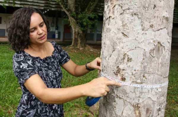 De aproveitamento de resíduos sólidos a criação do monitor da sustentabilidade, mulheres impulsionam pesquisas para o desenvolvimento da Amazônia