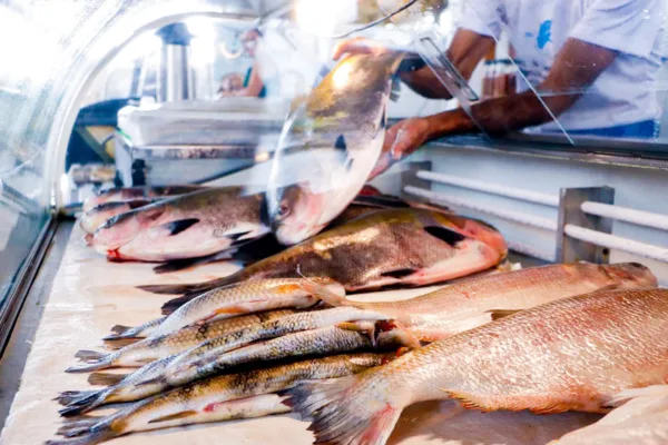 Feira do Peixe em Rio Branco deve atrair mais de 20 mil pessoas na Semana Santa