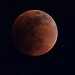 Eclipse total lunar, também chamado de Lua de Sangue, acontece na madrugada desta sexta-feira (14) • Reuters