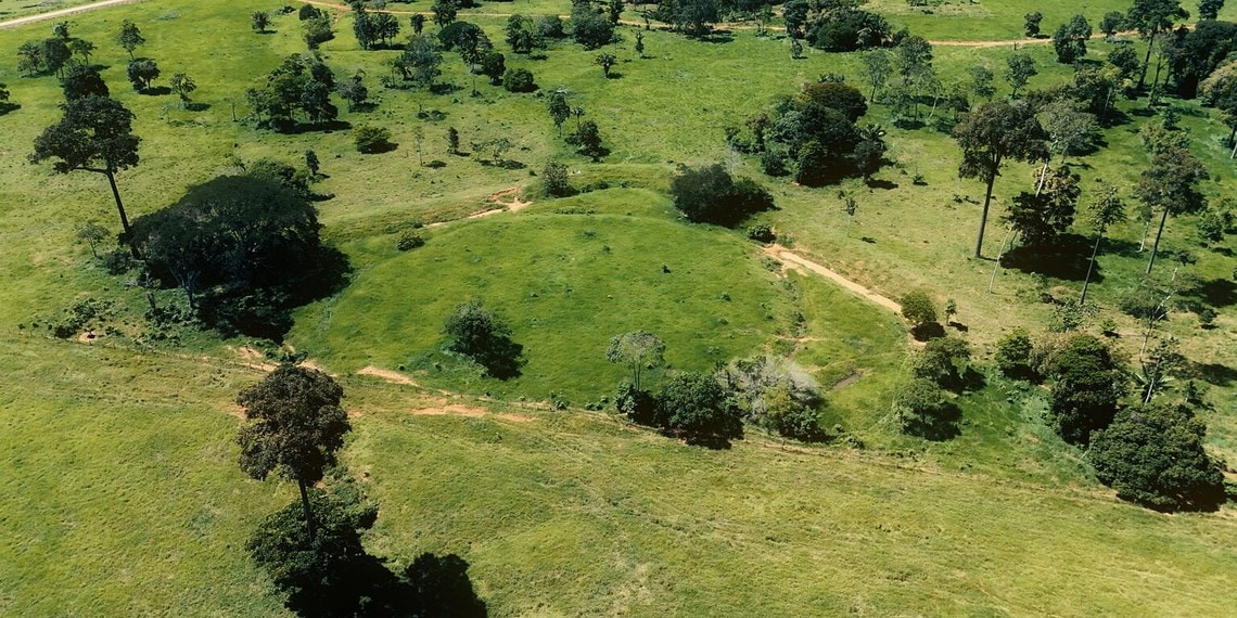 Foto: Uêslei Araújo/Sema