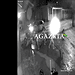 Vídeo mostra ataque que deixou dois jovens baleados neste sábado, em Rio Branco